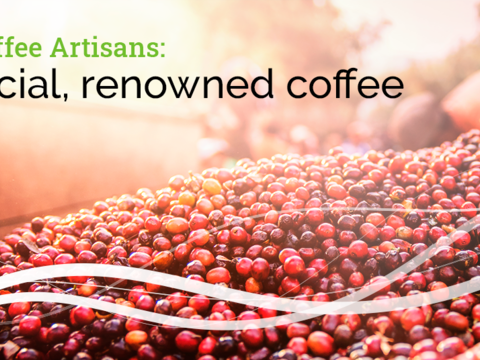 Nucoffee Artisans: special, renowned coffee