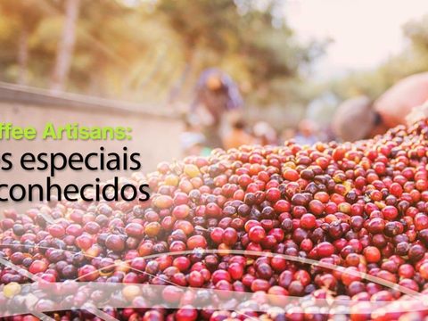 Nucoffee Artisans: café especiais e reconhecidos