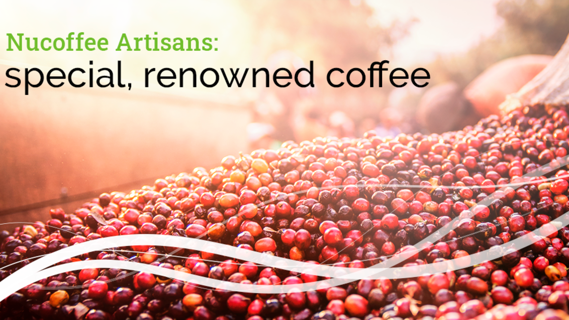 Nucoffee Artisans: special, renowned coffee