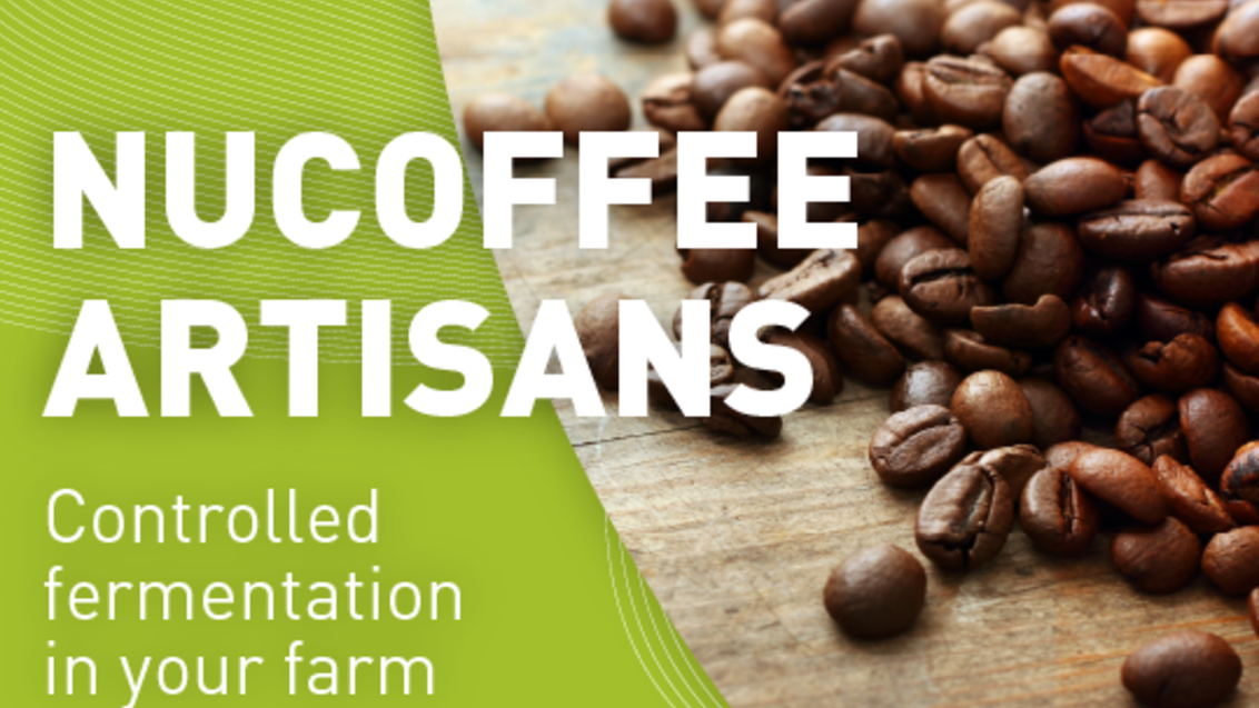 “Nucoffee Artisans” project: controlled fermentation in your farm