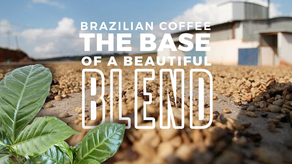 Base of a Beautiful Coffee Blend