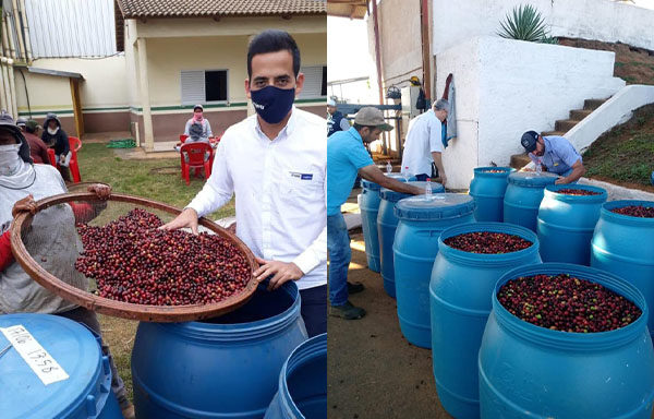 3 Nucoffee 15 anos de história na cafeicultura brasileira.jpg