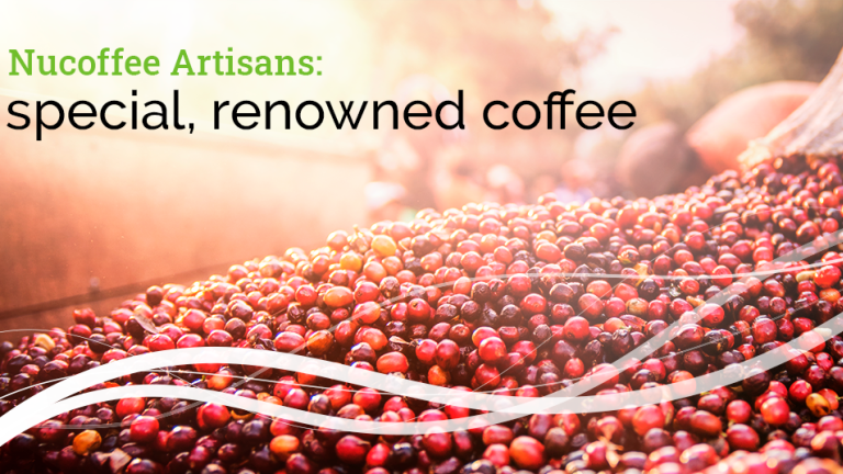 Nucoffee Artisans: special, renowned coffee
