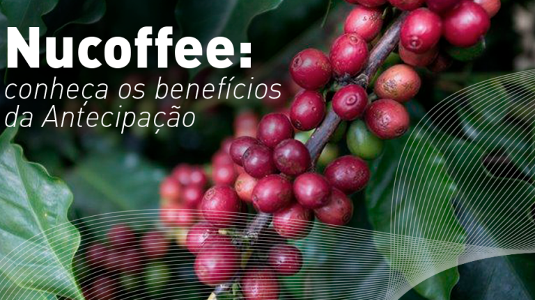 Nucoffee: conheça os benefícios da Antecipação