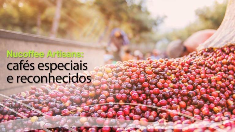 Nucoffee Artisans: café especiais e reconhecidos