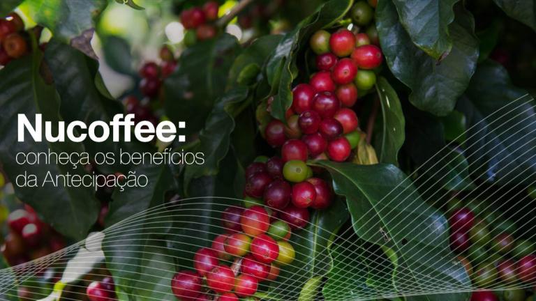 nucoffee conheca os beneficios da antecipação