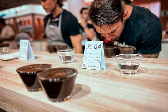SIC_NUCOFFEE